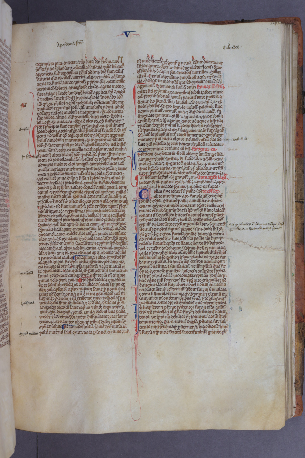 Folio 101 recto
